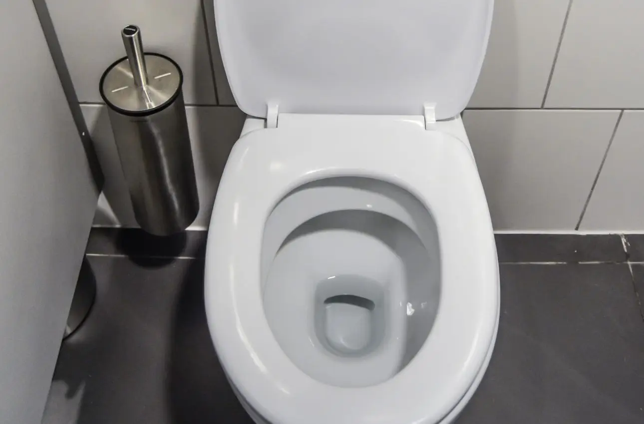 Se vedi questo nel water chiudi subito il coperchio: ecco cosa può uscire davvero